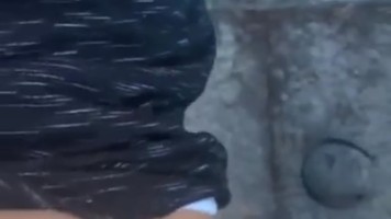 Belajar Bareng Malah